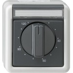 GIRA 032130 Zeitsch. 2-p 120 min BSF WG AP Grau 