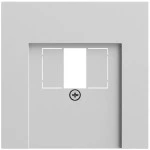 Gira 037676 Abdeckung für USB-Spannungsversorgung PD in Grau matt lackiert passend für System 70 Gira F100 (Zubehör) 