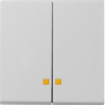 Gira 0631015 Wippe 2-fach mit Kontrollfenster für Wipp-Kontrollschalter Grau matt 