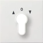 GIRA 0664112 Abd. Schlüsselschalter/-taster Flächenschalter Reinweiß 