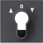 GIRA 066428 Abd. Schlüsselschalter/-taster System 55 Anthrazit 