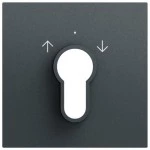 Gira 066473 Abdeckung für Schlüsselschalter und Schlüsseltaster in anthrazit lackiert passend für System 70 (Zubehör) 