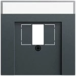 Gira 087673 Abdeckung mit Beschriftungsfeld in anthrazit lackiert passend für TAE und USB (Zubehör) 