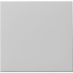 Gira 0916015 Wippe für Tastschalter Grau matt 