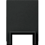 Gira 1068005 Adapter zur Leitungseinführung für Kanal 13 x 25 mm (K/P25) in Schwarz matt, passend für System 55 