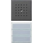 GIRA 126167 Türstation 3f UP Gira TX_44 (WG UP) Anthrazit 