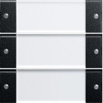 GIRA 2133005 Wippenset 3f BSF System 55 Klar/Schwarz m 