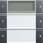 GIRA 214228 Wippenset 2f Plus BSF System 55 Klar/Anthrazit 