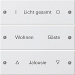 GIRA 220303 Wippenset 3f beschr. System 55 Reinweiß(lack.) 