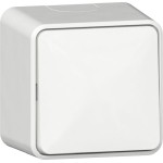 GIRA 310613 Wippschalter AusWe + Montagepl. AP Reinweiß 