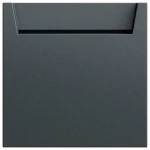 Gira 314073 Hotel-Card-Schalter 10 A 250 V~ anthrazit lackiert, 1-polig mit Neutralleiterklemme 