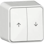 GIRA 315813 Wipp-Jal.taster Pfeile + Montagepl. AP Reinweiß 