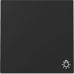 GIRA 3285005 Wippe Symb. Licht System 55 Schwarz m