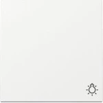 GIRA 328503 Wippe Symb. Licht System 55 Reinweiß 