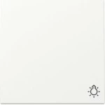 GIRA 328527 Wippe Symb. Licht System 55 Reinweiß m 