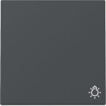 GIRA 328528 Wippe Symb. Licht System 55 Anthrazit