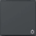 GIRA 328567 Wippe Symb. Licht Gira TX_44 (WG UP) Anthrazit 