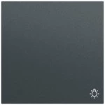 Gira 328573 Wippe mit Lichtsymbol in anthrazit lackiert passend für System 70 Programmübergreifend (Zubehör) 