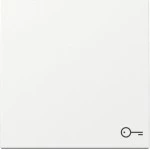 GIRA 328703 Wippe Symb. Tür System 55 Reinweiß 