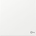 GIRA 328770 Wippe Symb. Tür Flächenschalter Reinweiß 