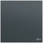 Gira 328773 Wippe mit Tür-Symbol in anthrazit lackiert passend für System 70 Programmübergreifend (Zubehör) 