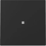 GIRA 3290005 Wippe Kontrollf. System 55 Schwarz m