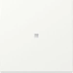 GIRA 329027 Wippe Kontrollf. System 55 Reinweiß m 