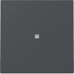 GIRA 329028 Wippe Kontrollf. System 55 Anthrazit 