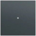 Gira 329073 Wippe mit Kontrollfenster in anthrazit lackiert passend für System 70 Programmübergreifend (Zubehör) 