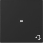 GIRA 3291005 Wippe Kontrollf. + Symb. Steckd. System 55 Schwarz m