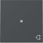 GIRA 329128 Wippe Kontrollf. + Symb. Steckd. System 55 Anthrazit