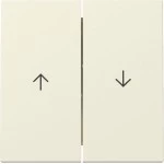 GIRA 329401 Wippe 2f Pfeil System 55 Cremeweiß