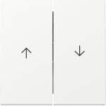 GIRA 329427 Wippe 2f Pfeil System 55 Reinweiß m 