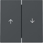 GIRA 329428 Wippe 2f Pfeil System 55 Anthrazit