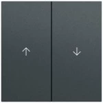 Gira 329473 Wippe 2f Pfeil System 70 Anthrazit lackiert 