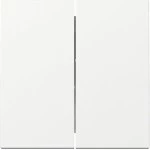 GIRA 329503 Wippe 2f System 55 Reinweiß 