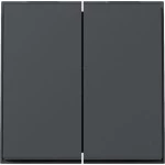 GIRA 329567 Wippe 2f Gira TX_44 (WG UP) Anthrazit 