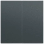 Gira 329573 Wippe 2f System 70 Anthrazit lackiert 