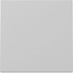 GIRA 3296015 Wippe System 55 Grau m 