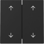 GIRA 3297005 Wippe 2f Pfeile System 55 Schwarz m 