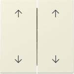 GIRA 329701 Wippe 2f Pfeile System 55 