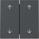 GIRA 329728 Wippe 2f Pfeile System 55 Anthrazit 