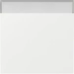 GIRA 329970 Wippe BSF Flächenschalter Reinweiß 