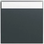 Gira 329973 Wippe mit Beschriftungsfeld in anthrazit lackiert passend für System 70 Programmübergreifend (Zubehör) 