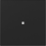 GIRA 3490005 Wippe gerade Kontrollf. System 55 Schwarz m 