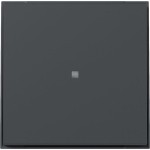 GIRA 349067 Wippe gerade Kontrollf. Gira TX_44 Anthrazit 