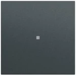 Gira 349073 Gerade Wippe mit Kontrollfenster in anthrazit lackiert passend für System 70 Programmübergreifend (Zubehör) 