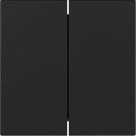 GIRA 3495005 Wippe 2f gerade System 55 Schwarz m 