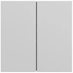 Gira 349576 Wippe 2f gerade System 70 Grau matt lackiert 