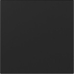 GIRA 3496005 Wippe gerade System 55 Schwarz m 